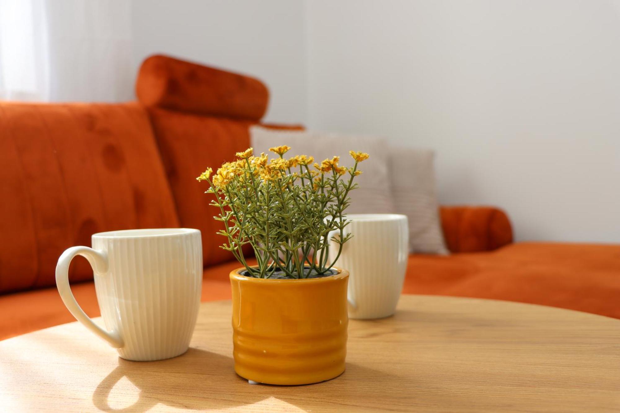 Apartments Titi ツァヴタット エクステリア 写真